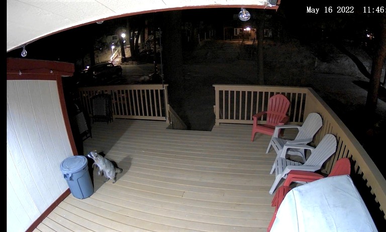 Cabins (United States of America, Green Valley Lake, California)