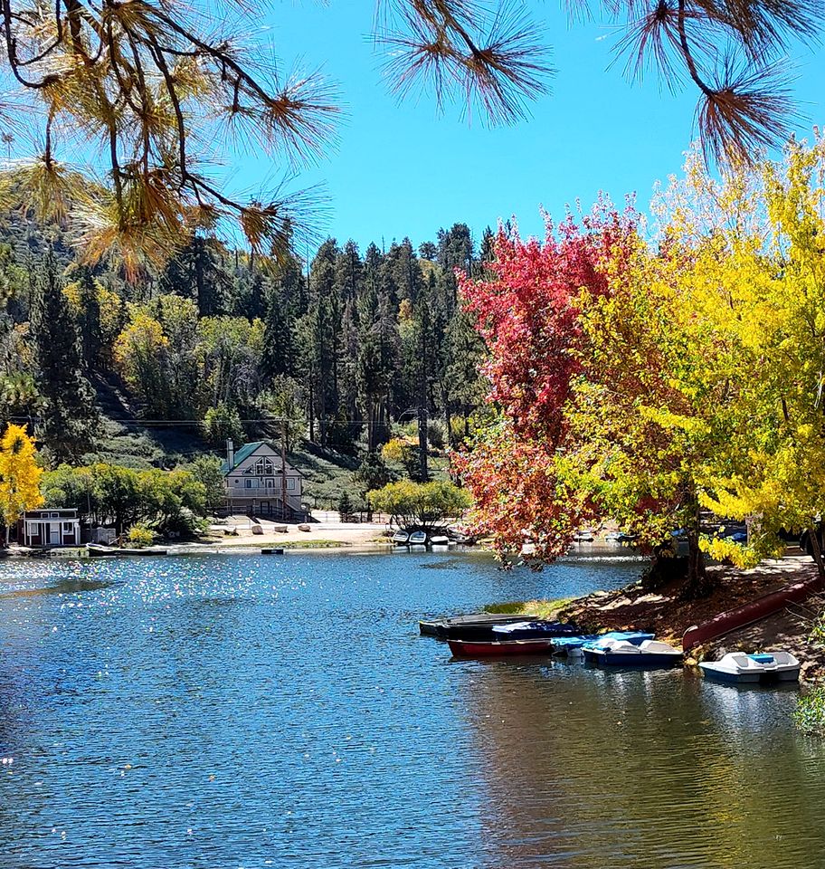 Cute Quiet Cottage in the San Bernardino Mountains for a Peaceful Family Retreat in Green Valley Lake, California