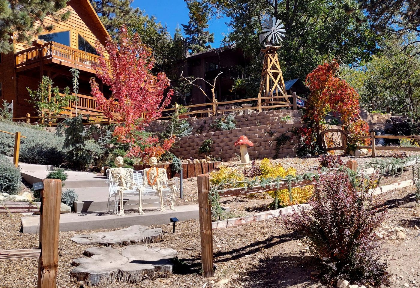 Cute Quiet Cottage in the San Bernardino Mountains for a Peaceful Family Retreat in Green Valley Lake, California