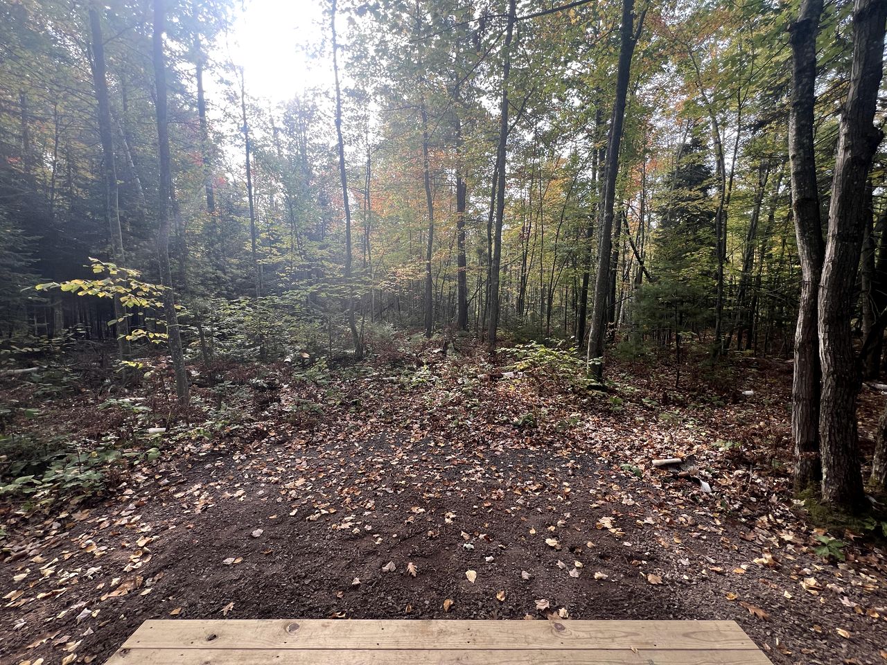 Stunning Two Oaks Pod Surrounded by Trees for an Amazing Couples Retreat near Washburn, Wisconsin