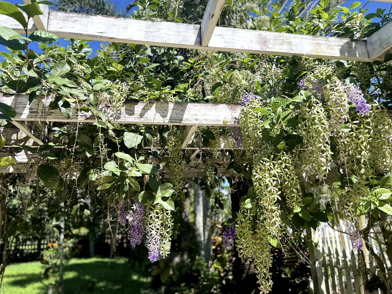Cozy Cottage on a Tropical Fruit Farm for a Peaceful Escape near Homestead, Florida