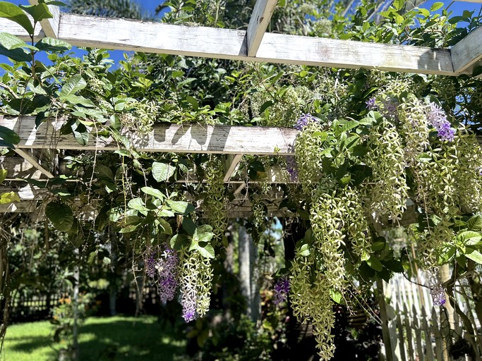 Cottages (United States of America, --, Florida)