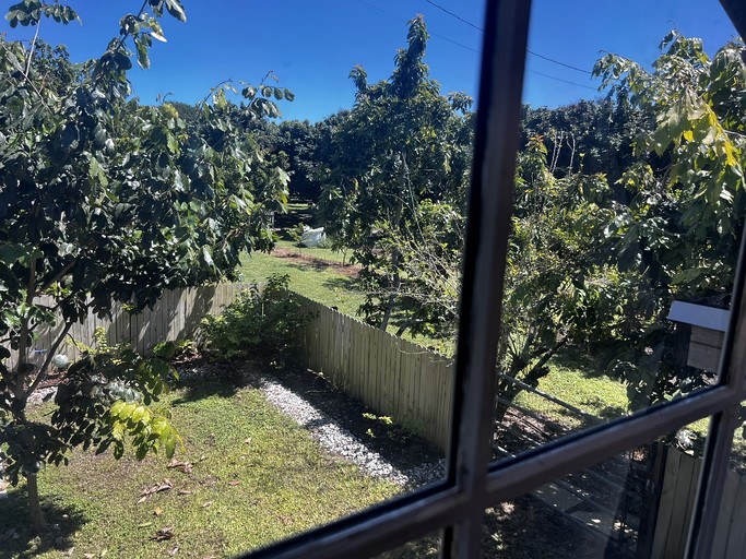 Tiny Houses (United States of America, --, Florida)