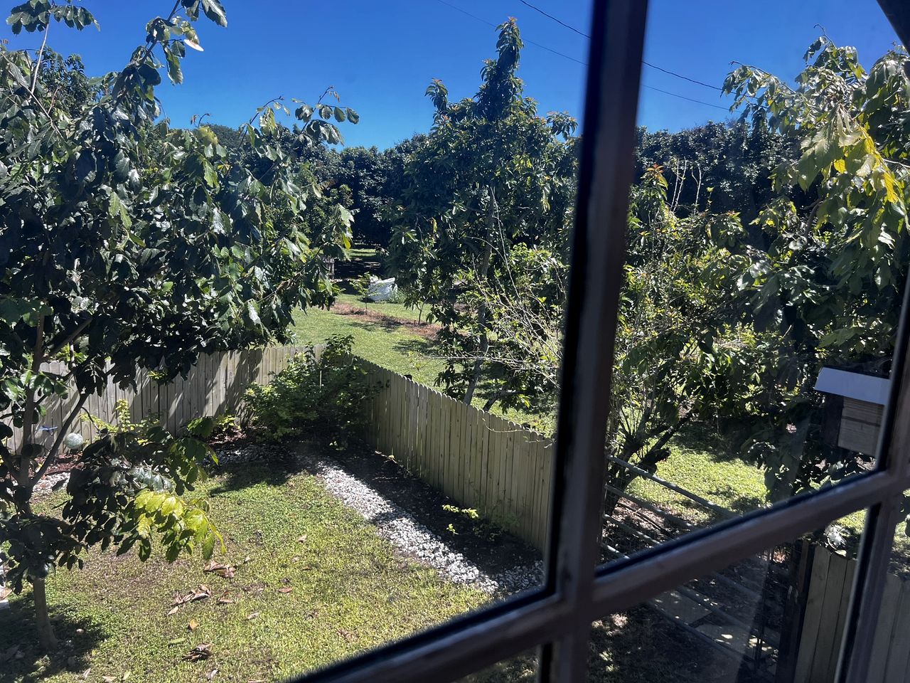 Beautiful Red Cottage for a Relaxing Getaway on a Tropical Fruit Farm near Homestead, Florida