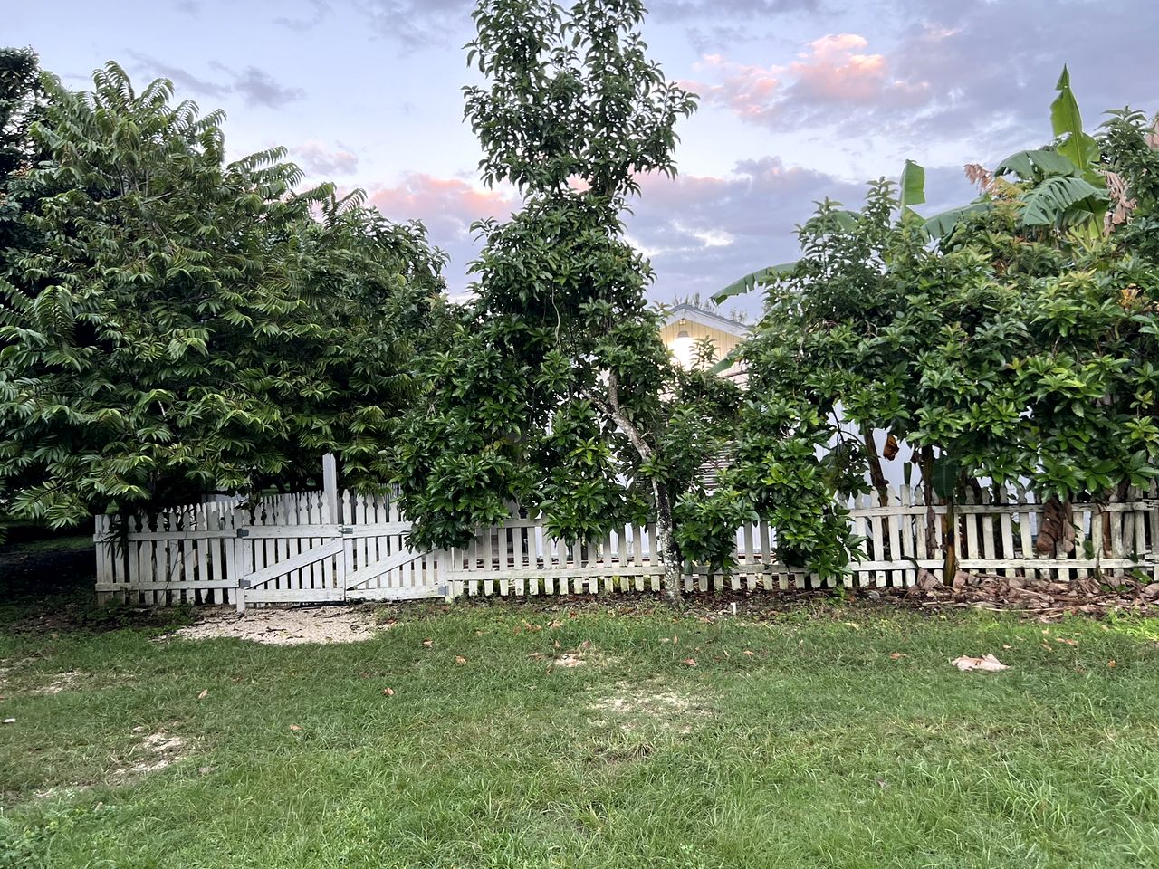 Gorgeous Farm House Surrounded by Tropical and Exotic Fruit Trees near Homestead, Florida