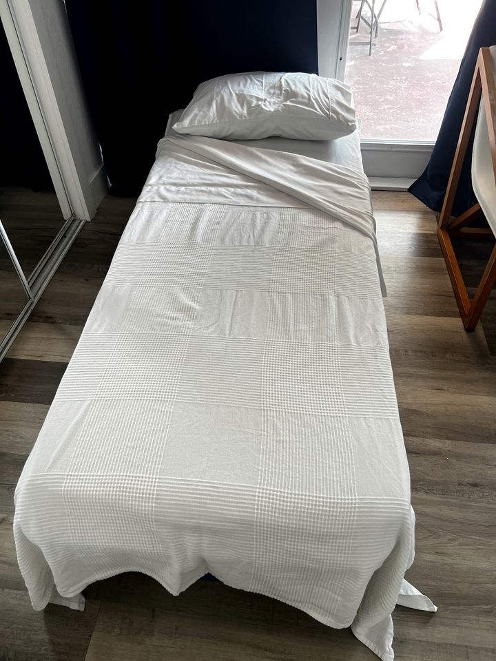 Gorgeous Farm House Surrounded by Tropical and Exotic Fruit Trees near Homestead, Florida