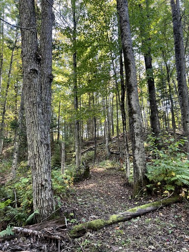 Pods (United States of America, Washburn, Wisconsin)