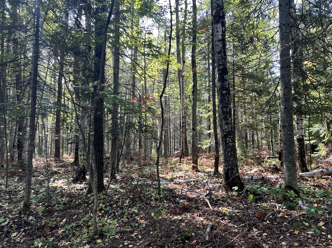 Pods (United States of America, Washburn, Wisconsin)