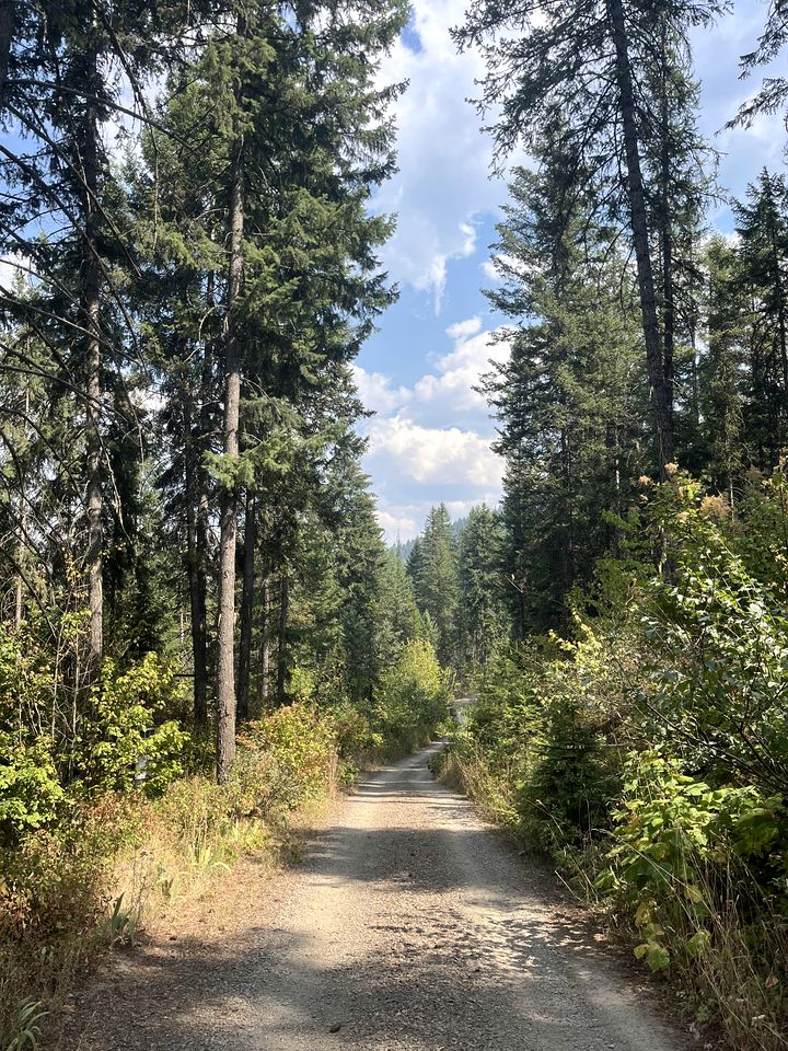 Cute Tiny House in the Woods for a Peaceful Getaway in Nature near Clark Fork, Idaho