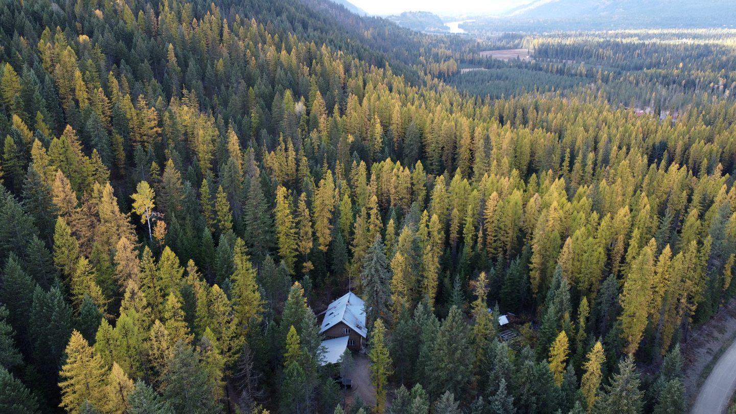 Cute Tiny House in the Woods for a Peaceful Getaway in Nature near Clark Fork, Idaho