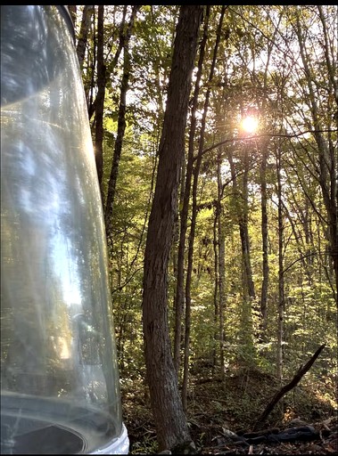 Airstreams (United States of America, --, North Carolina)