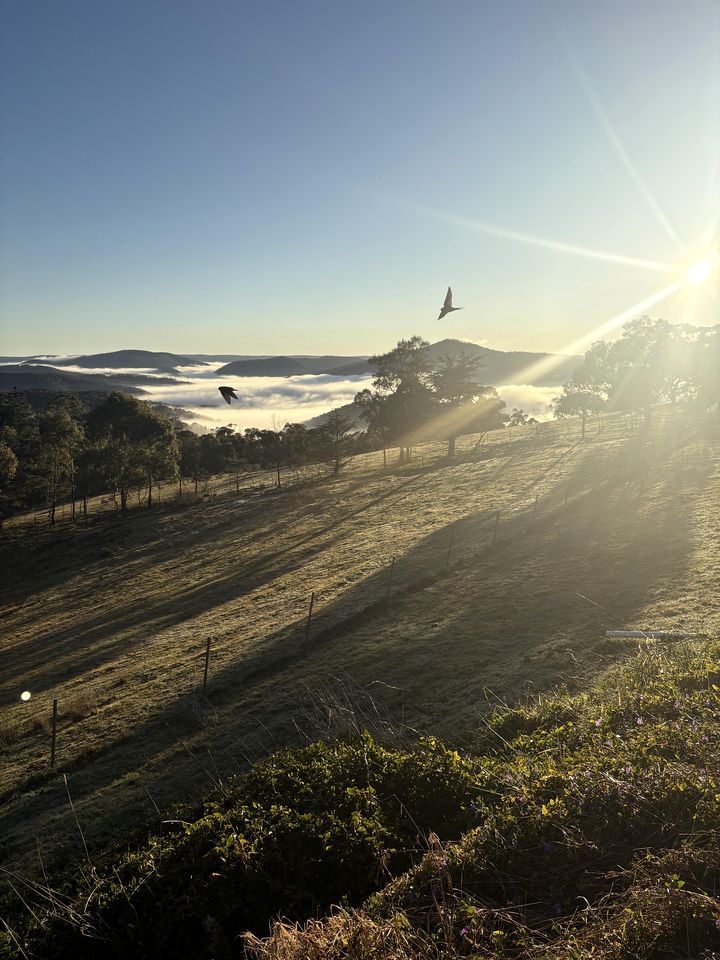Cozy Bell Tent for a Unique Romantic Getaway near Rydal, New South Wales