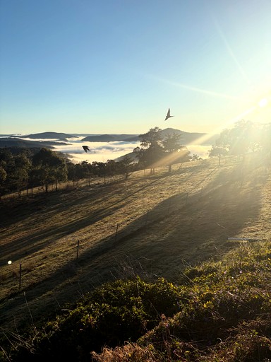 Bell Tents (Australia, --, --)