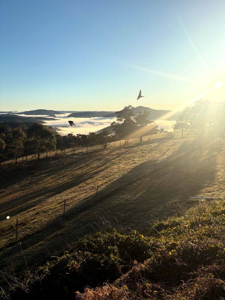 Cozy Bell Tent for a Unique Romantic Getaway near Rydal, New South Wales