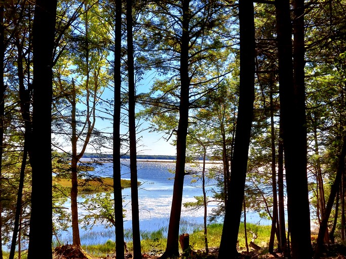 Airstreams (United States of America, Mariaville, Maine)