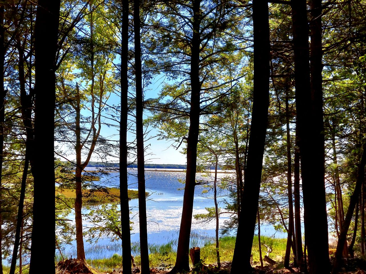 Gorgeous Vintage Airstream and Tiny House A-Frame Cabin with a Fabulous View near Acadia National Park