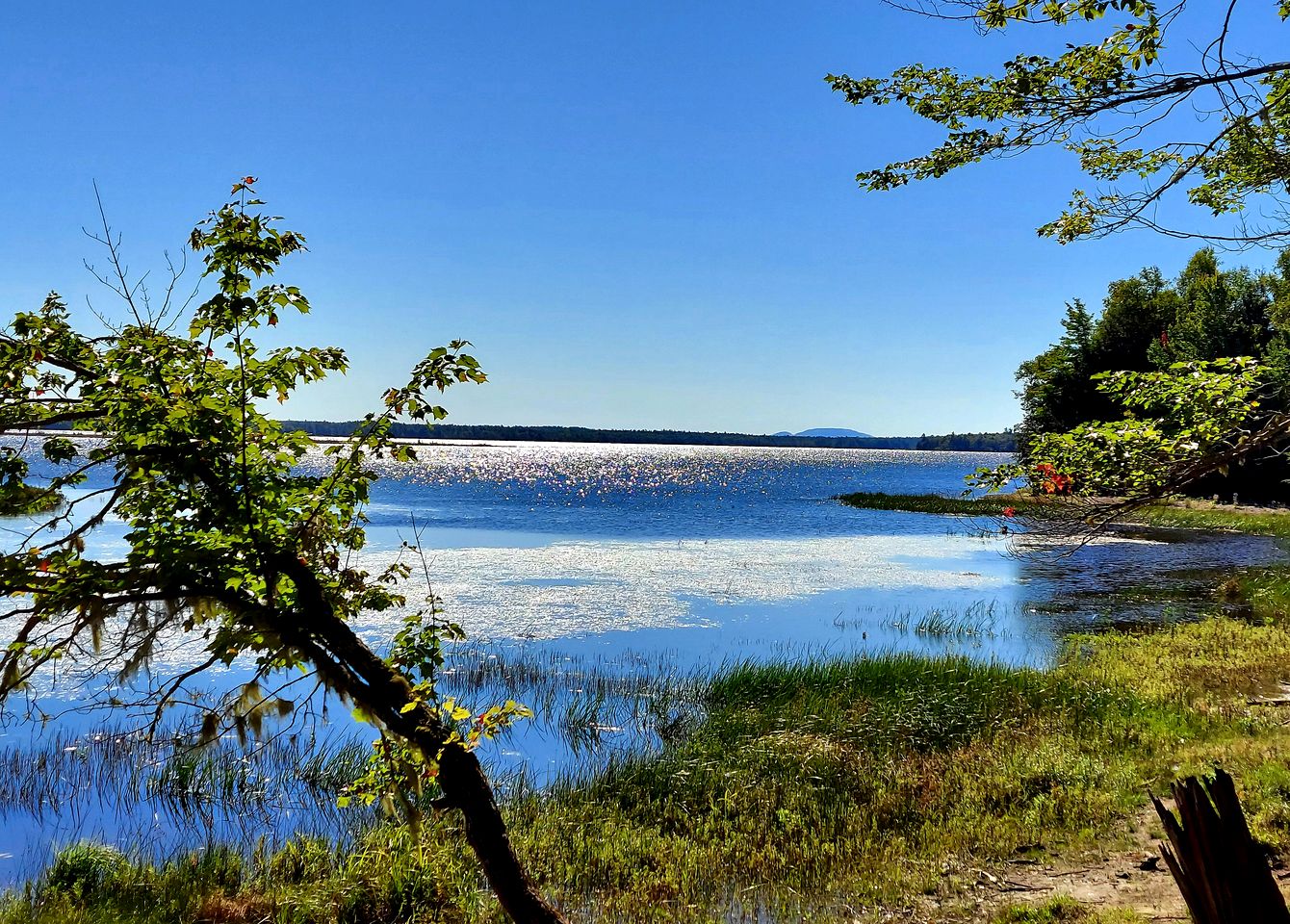 Gorgeous Vintage Airstream and Tiny House A-Frame Cabin with a Fabulous View near Acadia National Park
