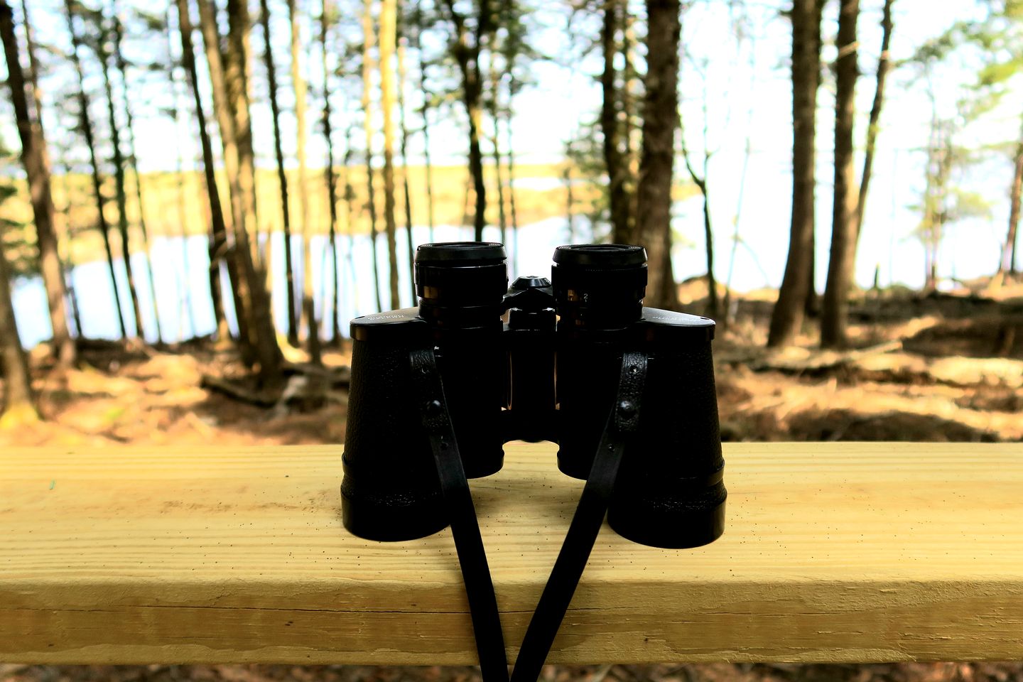 Gorgeous Vintage Airstream and Tiny House A-Frame Cabin with a Fabulous View near Acadia National Park