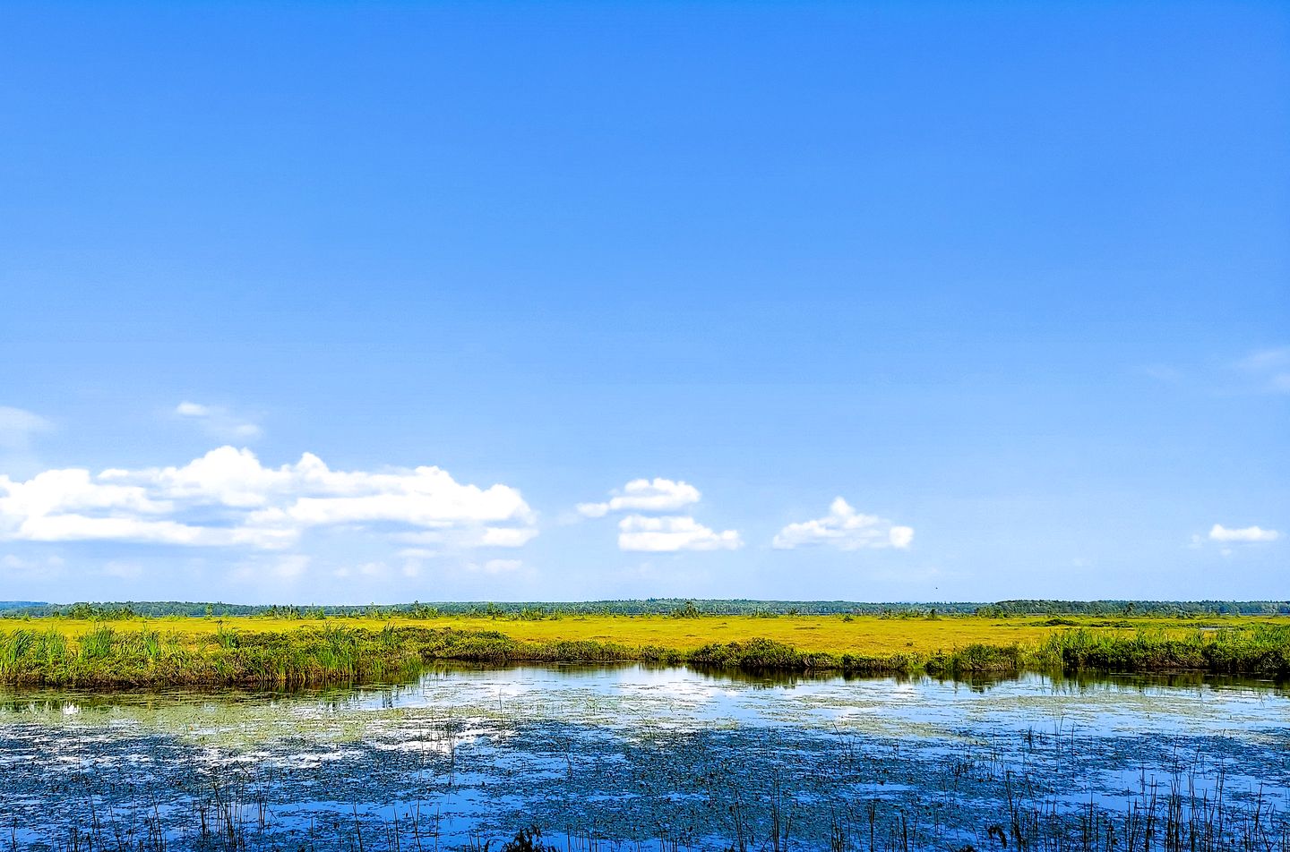 Gorgeous Vintage Airstream and Tiny House A-Frame Cabin with a Fabulous View near Acadia National Park