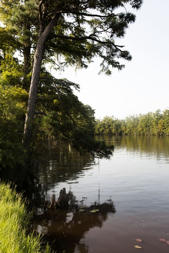 Bell Tents (United States of America, Westlake, Louisiana)