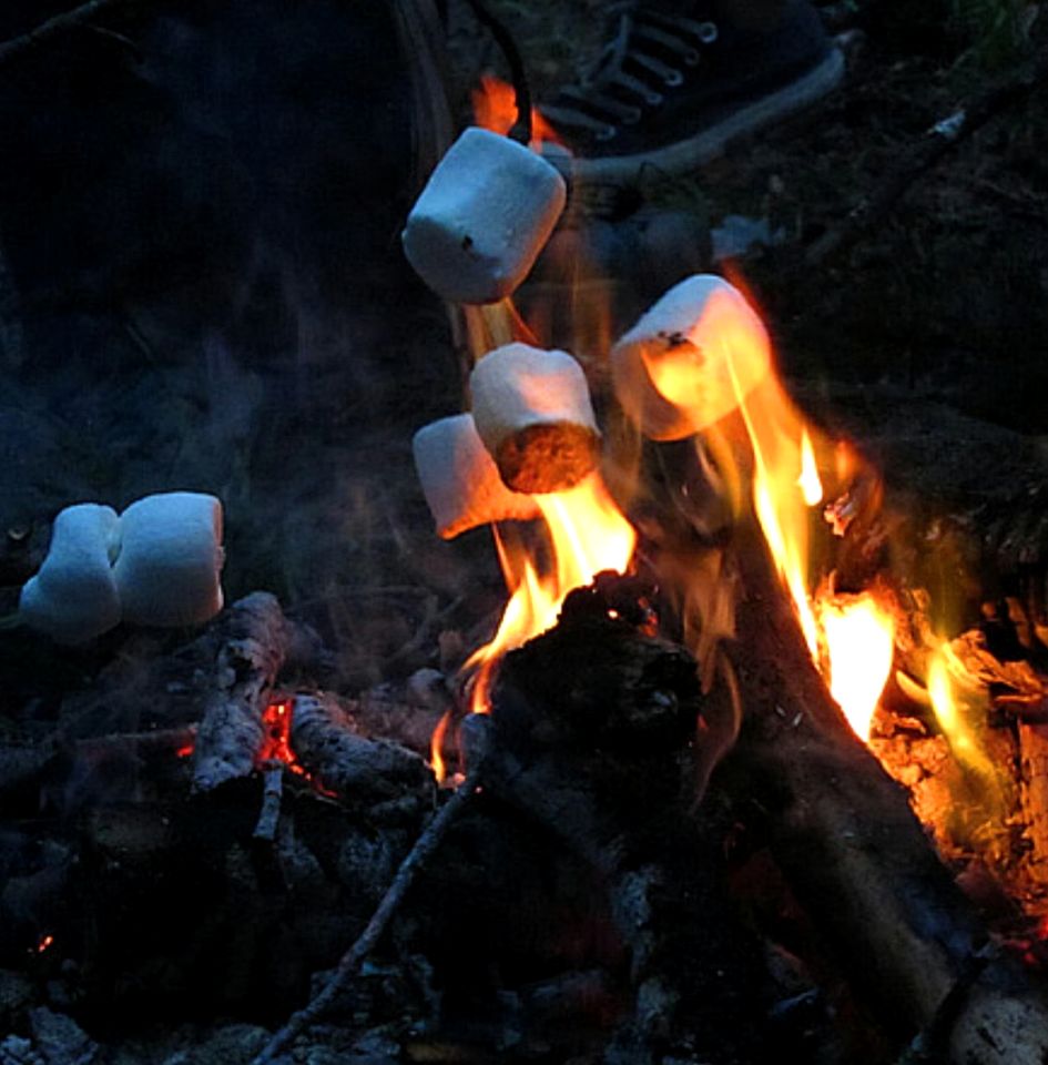 Gorgeous Bell Tent for an Unforgettable Couples Escape near Nannup, Western Australia