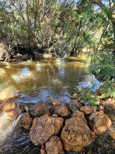 Safari Tents (Australia, Nannup, Western Australia)