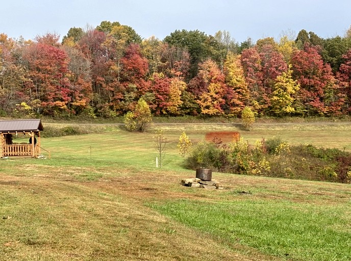 Log Cabins (United States of America, Gallipolis, Ohio)