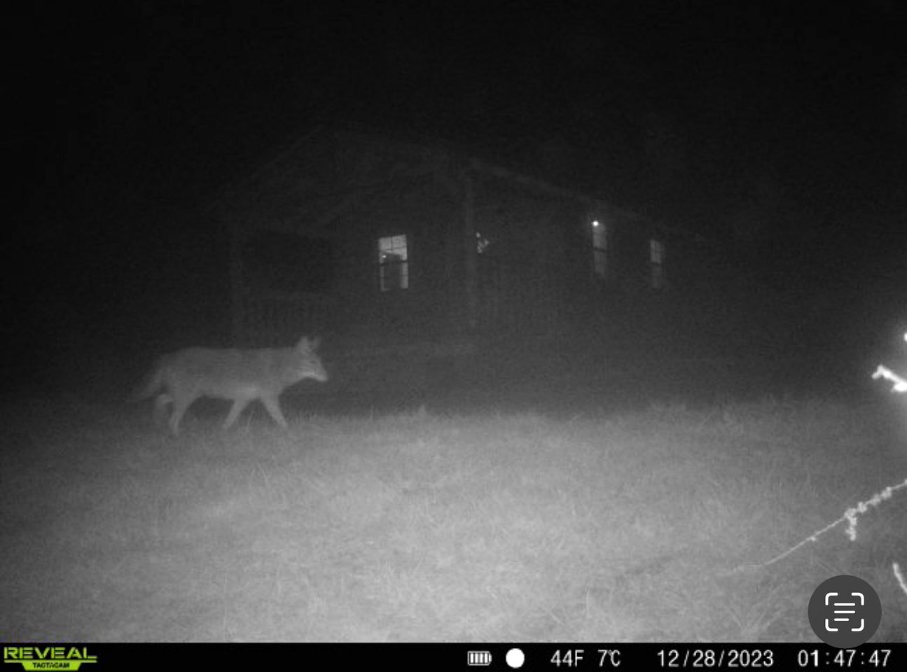 Cozy Studio Cabin Surrounded by Nature for a Peaceful Getaway near Gallipolis, Ohio