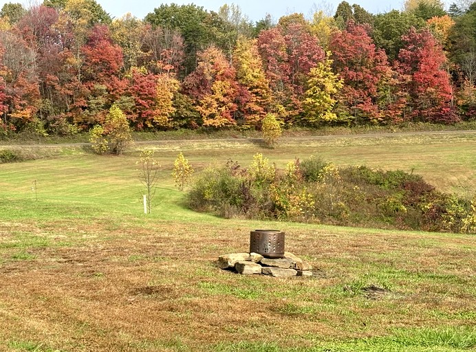 Log Cabins (United States of America, Gallipolis, Ohio)