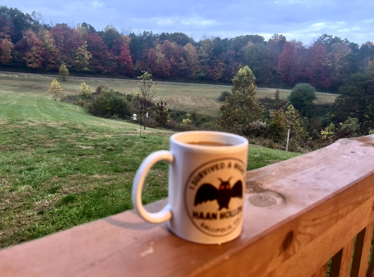 Cozy Studio Cabin Surrounded by Nature for a Peaceful Getaway near Gallipolis, Ohio