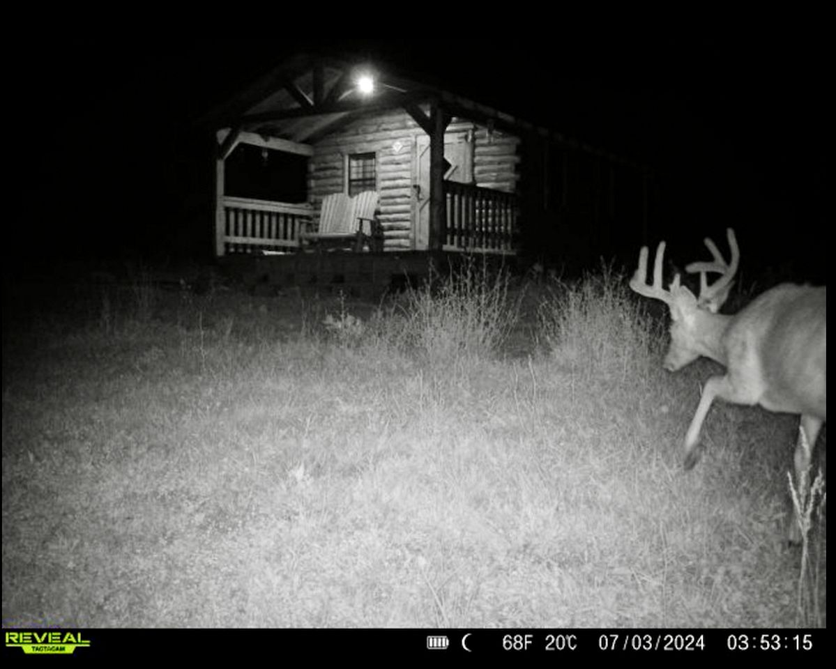 Cozy Studio Cabin Surrounded by Nature for a Peaceful Getaway near Gallipolis, Ohio