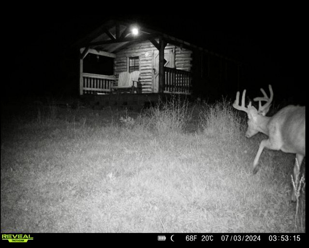 Cabins (United States of America, Gallipolis, Ohio)