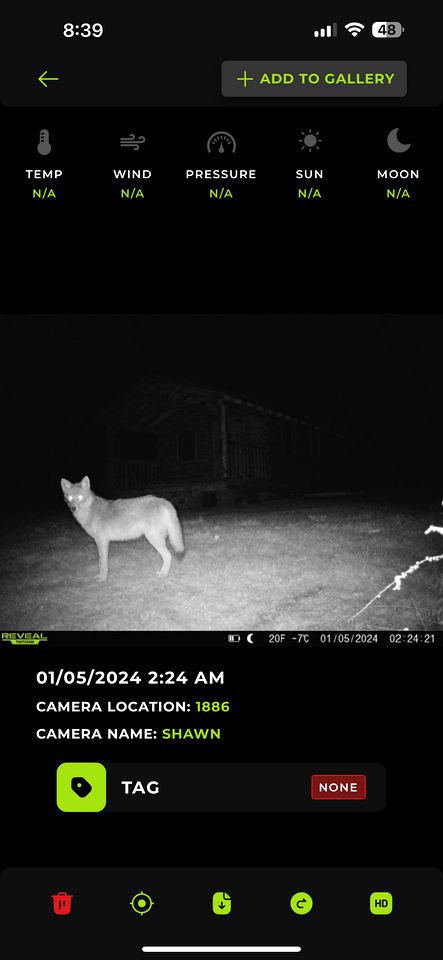 Cozy Studio Cabin Surrounded by Nature for a Peaceful Getaway near Gallipolis, Ohio