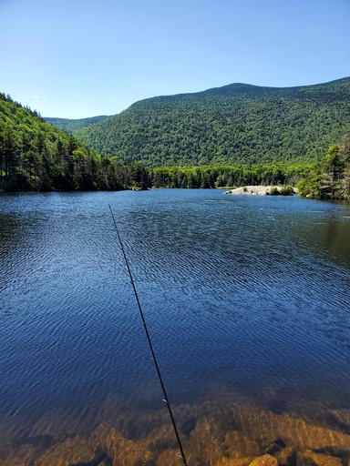Cabins (United States of America, Bath, New Hampshire)