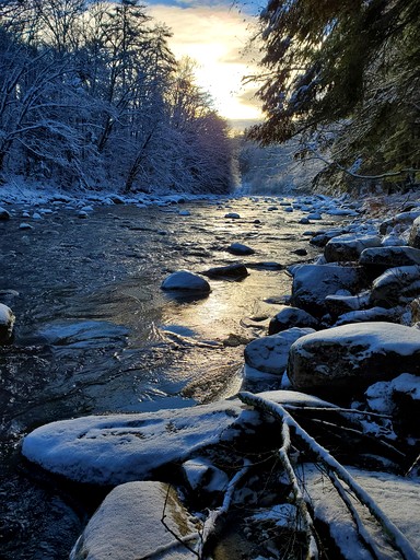 Cabins (United States of America, Bath, New Hampshire)