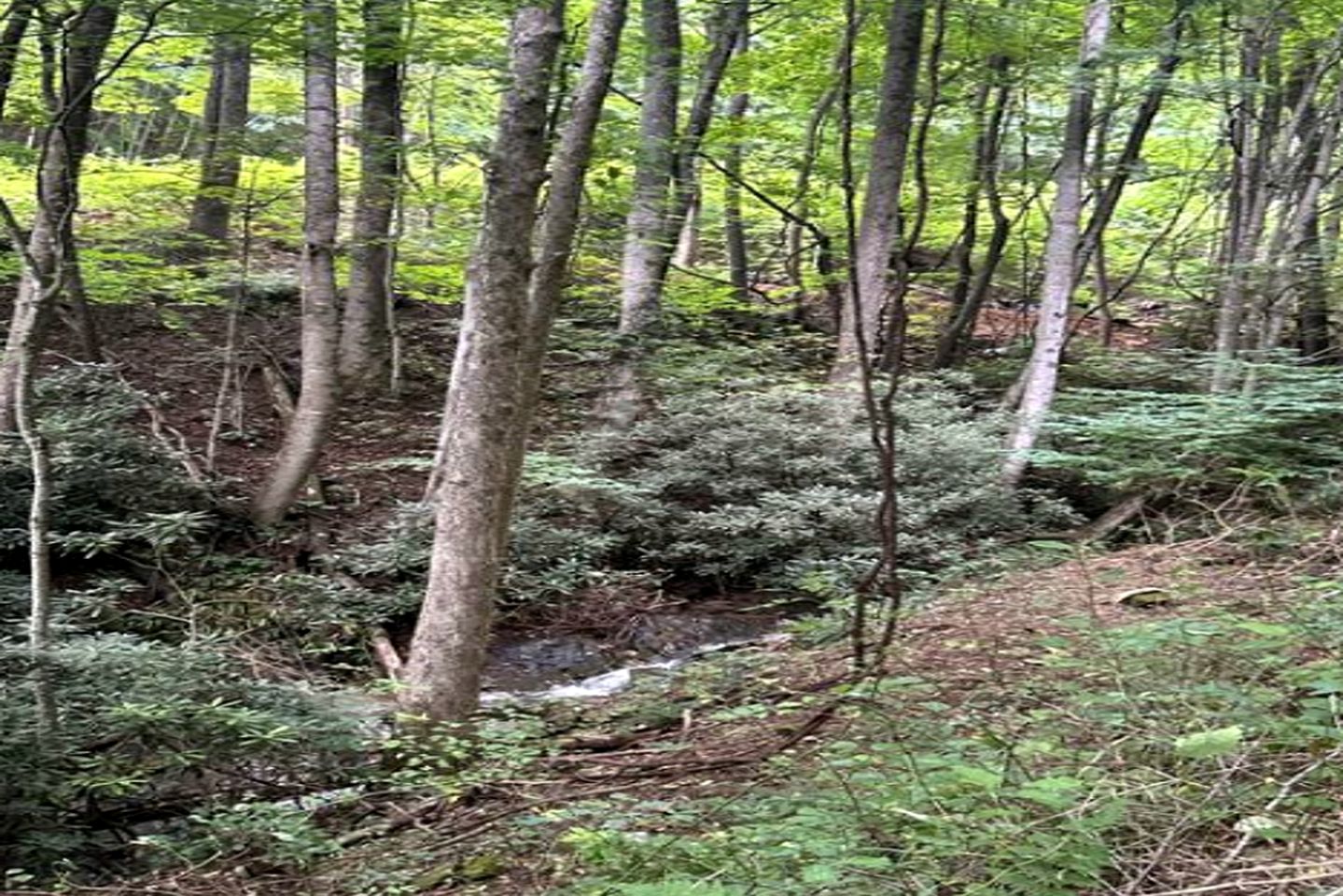 Gorgeous Safari Tent with Incredible Views for a Romantic Glamping Getaway near Waynesville, North Carolina