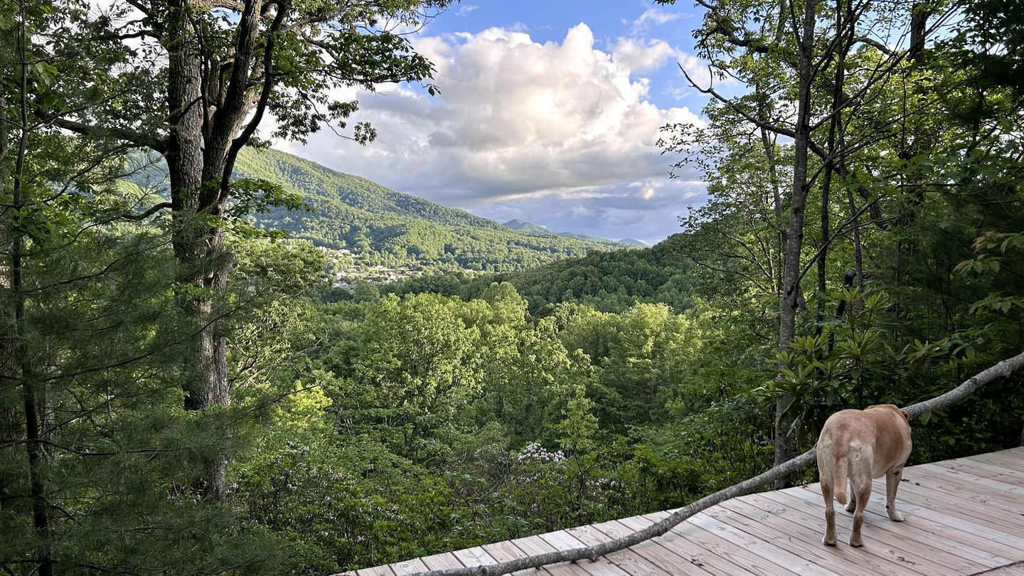 Gorgeous Safari Tent with Incredible Views for a Romantic Glamping Getaway near Waynesville, North Carolina