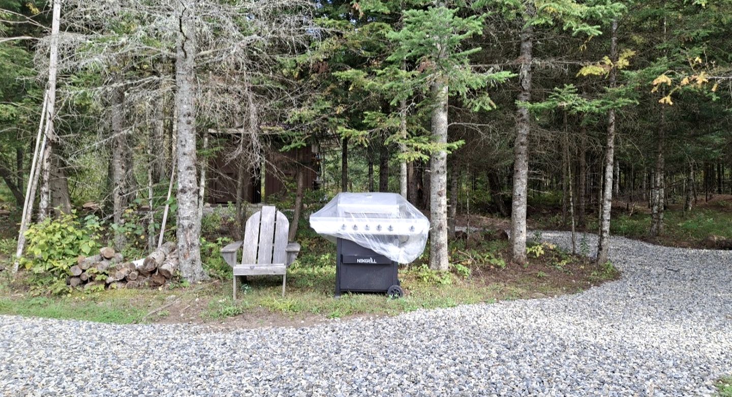 Gorgeous Yurt in the Adirondacks for a Unique Glamping Getaway near Minerva, New York
