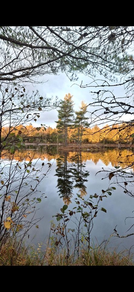 Gorgeous Yurt in the Adirondacks for a Unique Glamping Getaway near Minerva, New York