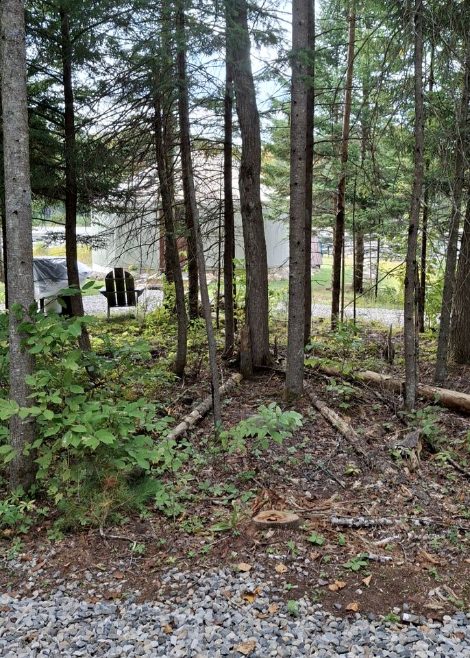 Gorgeous Yurt in the Adirondacks for a Unique Glamping Getaway near Minerva, New York