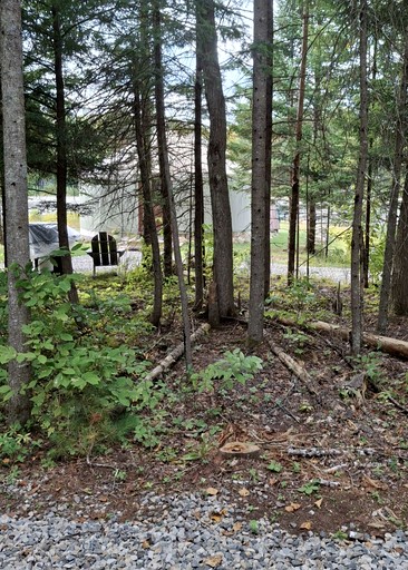 Yurts (United States of America, Minerva, New York)