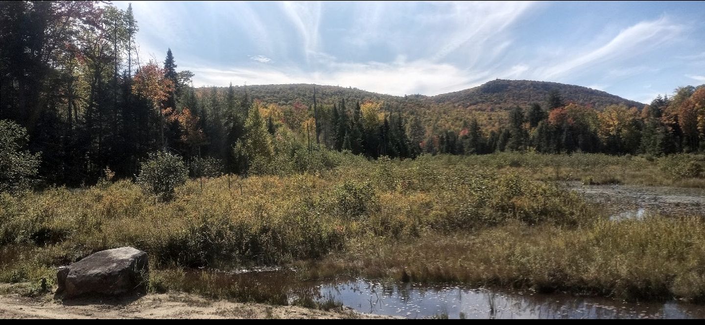 Gorgeous Yurt in the Adirondacks for a Unique Glamping Getaway near Minerva, New York