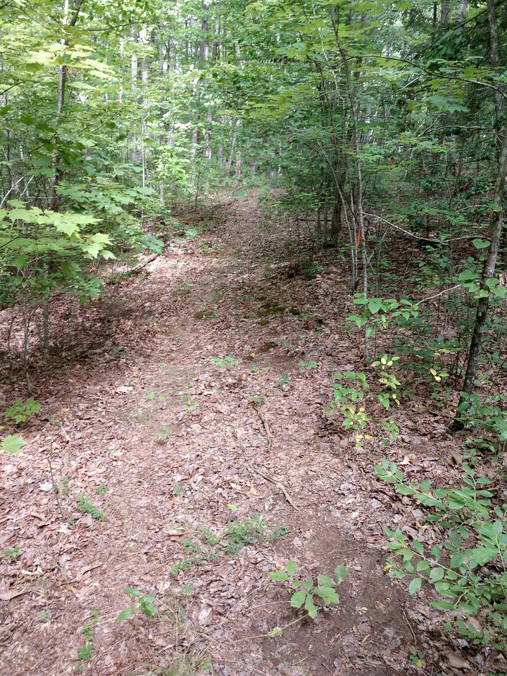 Peaceful Bunkhouse Surrounded by Nature near Graysville, Tennessee