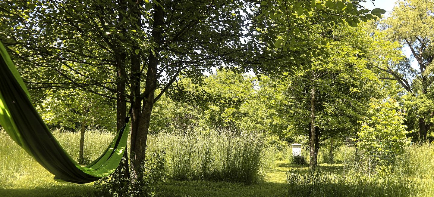 Cute Cozy Suite Rental Nestled on Beautiful Private Grounds for a Peaceful Getaway near Columbus, Ohio