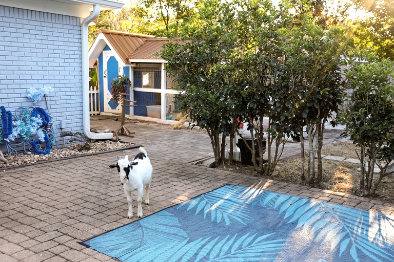 Tiny Houses (United States of America, Navarre, Florida)