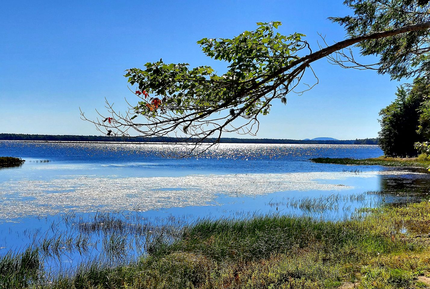 Beautiful Lakefront Safari Tent with Ensuite Bathroom, King Bed, and a Fabulous View, near Acadia National Park in Maine