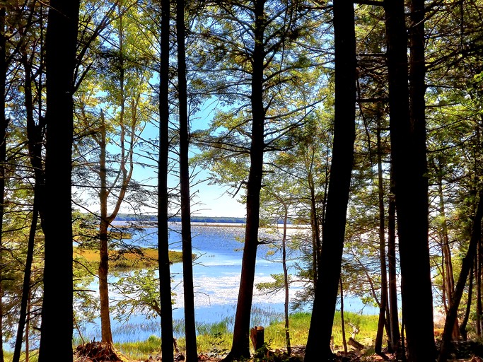 Safari Tents (United States of America, Mariaville, Maine)