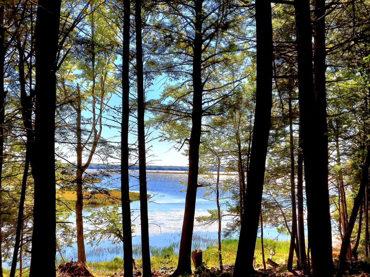 Beautiful Lakefront Safari Tent with Ensuite Bathroom, King Bed, and a Fabulous View, near Acadia National Park in Maine