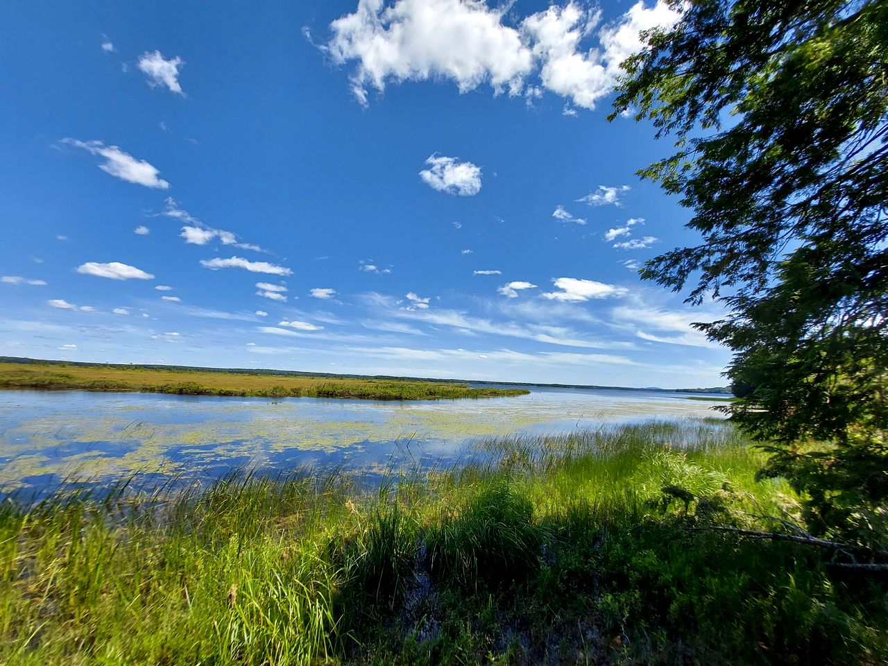 Beautiful Lakefront Safari Tent with Ensuite Bathroom, King Bed, and a Fabulous View, near Acadia National Park in Maine