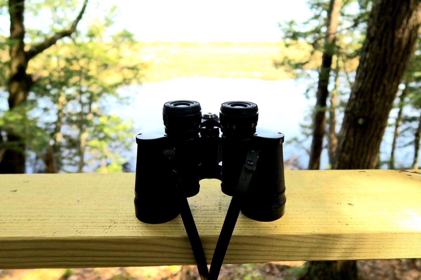 Beautiful Lakefront Safari Tent with Ensuite Bathroom, King Bed, and a Fabulous View, near Acadia National Park in Maine